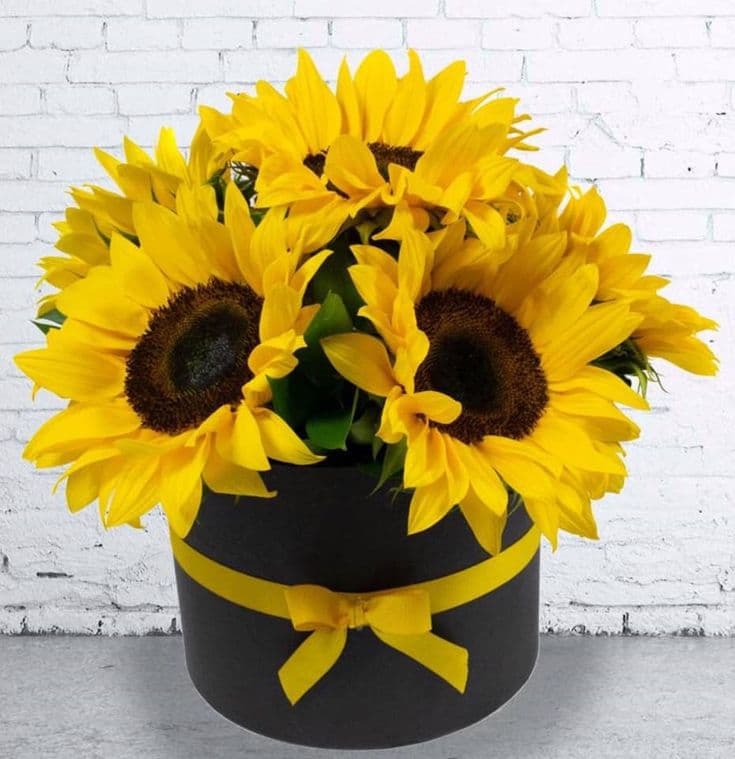 Caja Box de Girasoles