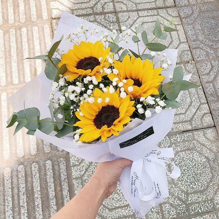 Girasoles Lentes de Sol