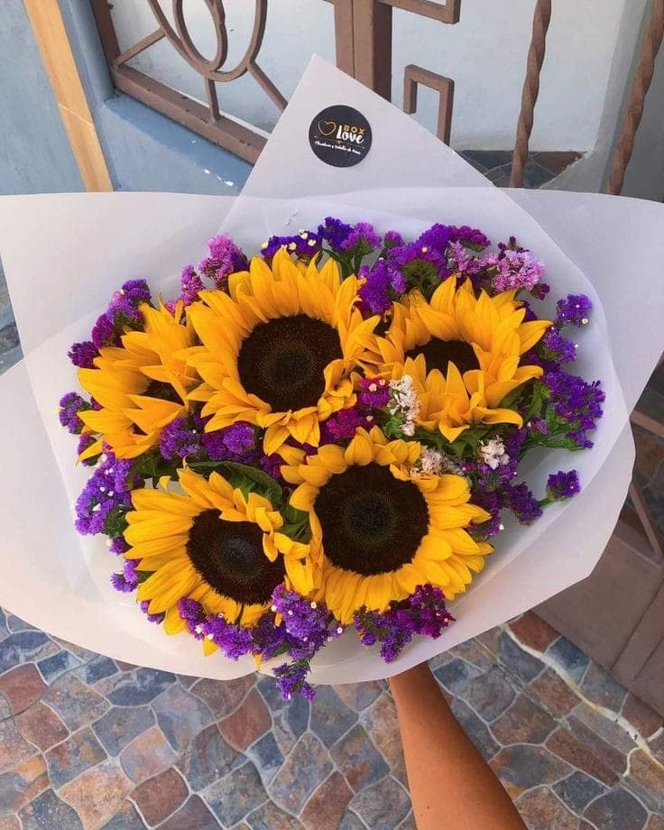 Girasoles y Siempreviva