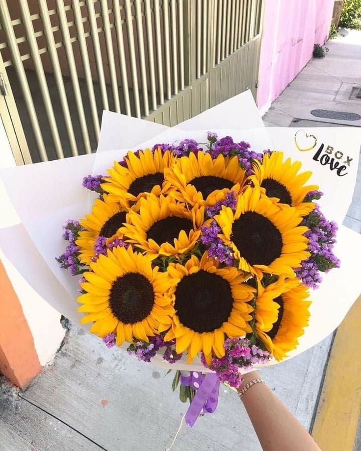 Girasoles y Siempreviva Grande